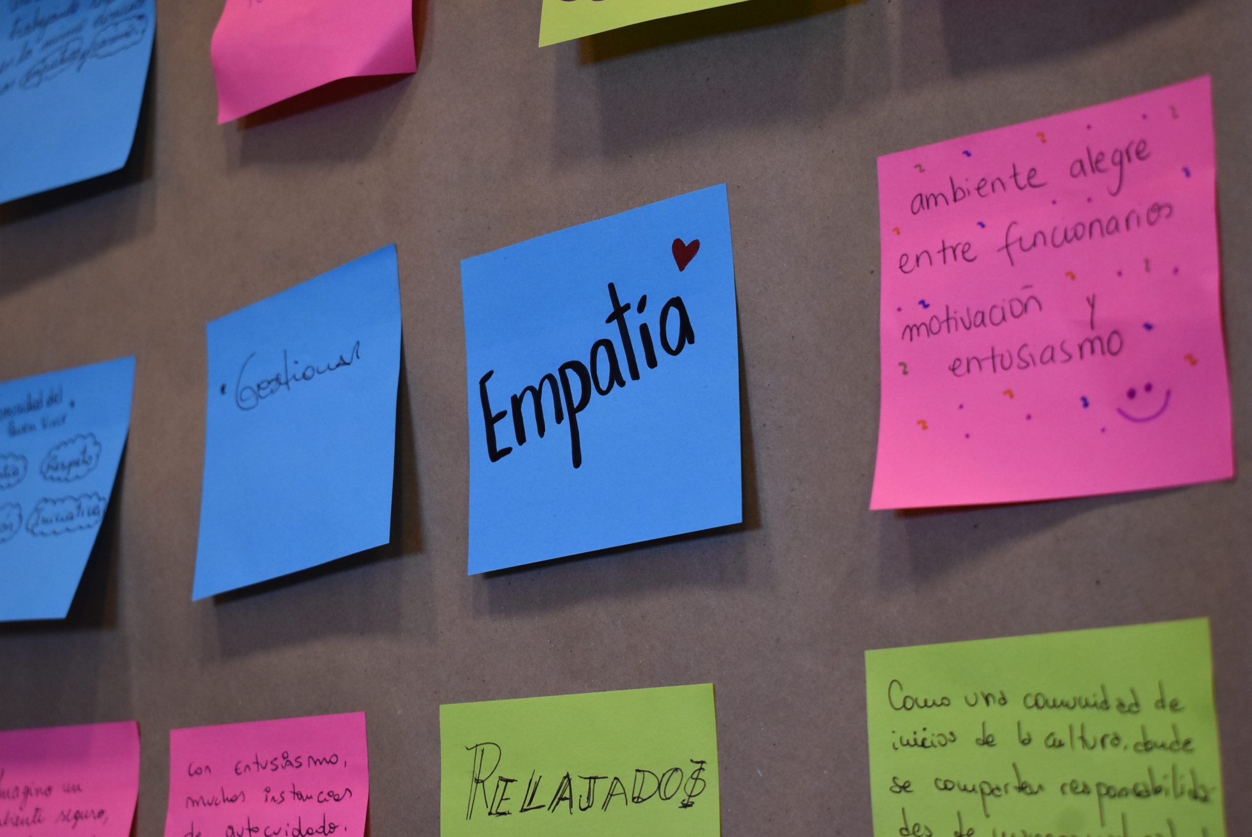 Mineduc y UFRO incentivan el bienestar socioemocional en escuelas del sur de Chile