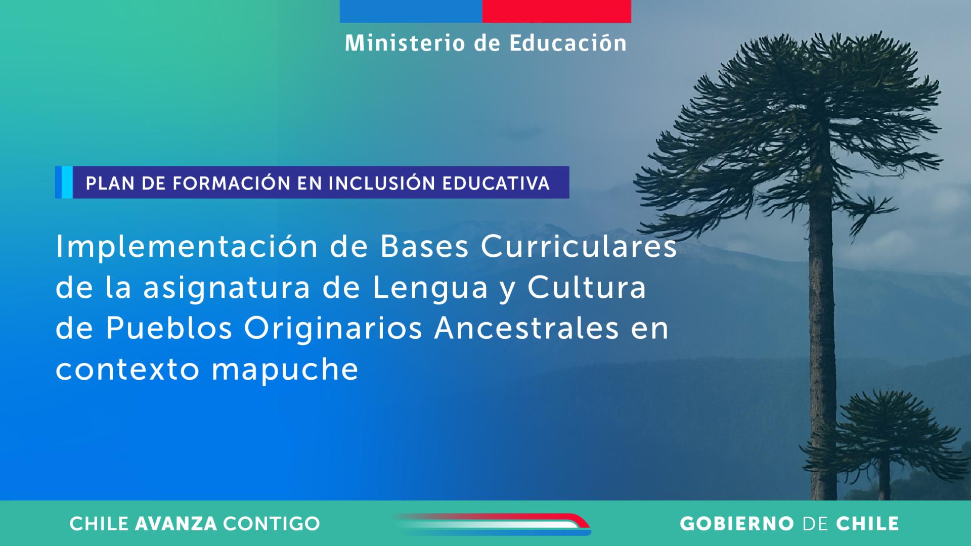 Implementación de Bases Curriculares de la asignatura de Lengua y Cultura de Pueblos Originarios Ancestrales en contexto mapuche – 2025